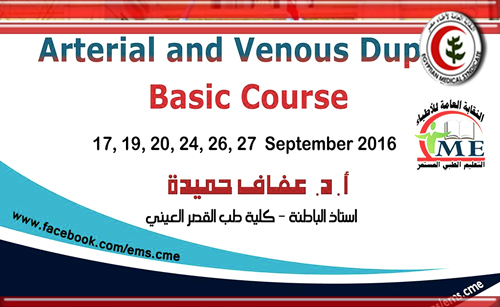 Arterial and Venous Duplex Basic Course