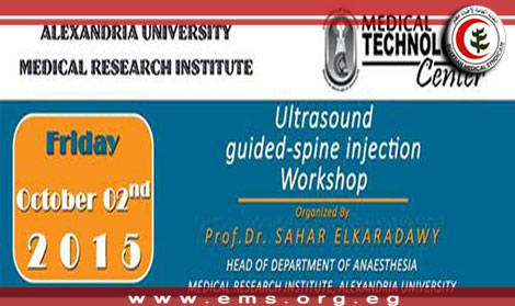 Ultrasound Guided-Spine Injection Workshop