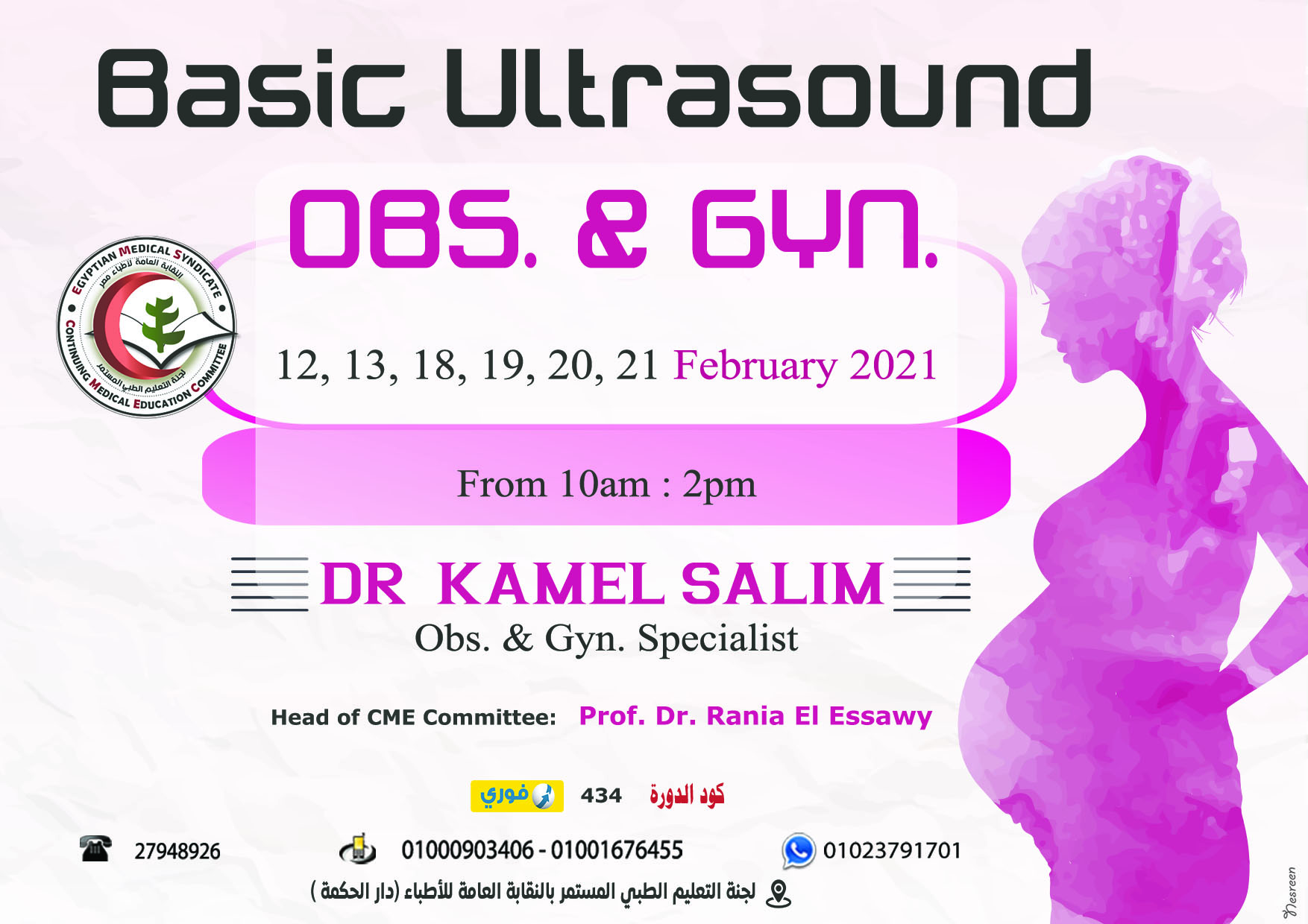 Basic Ultrasound OBS. & GYN.