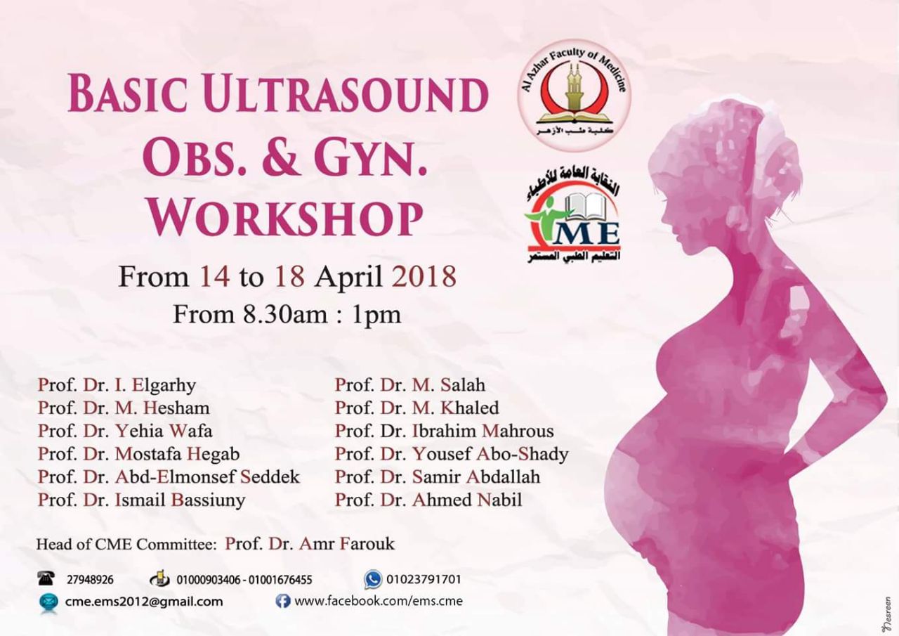 Basic Ultrasound Obs. & Gyn. Workshop