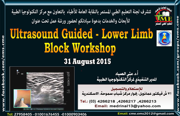 Ultrasound Guided - Lower Limb  Block Workshop